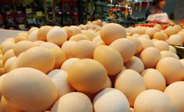 乌鸡蛋和普通鸡蛋的区别（营养含量、外形、价格不同）